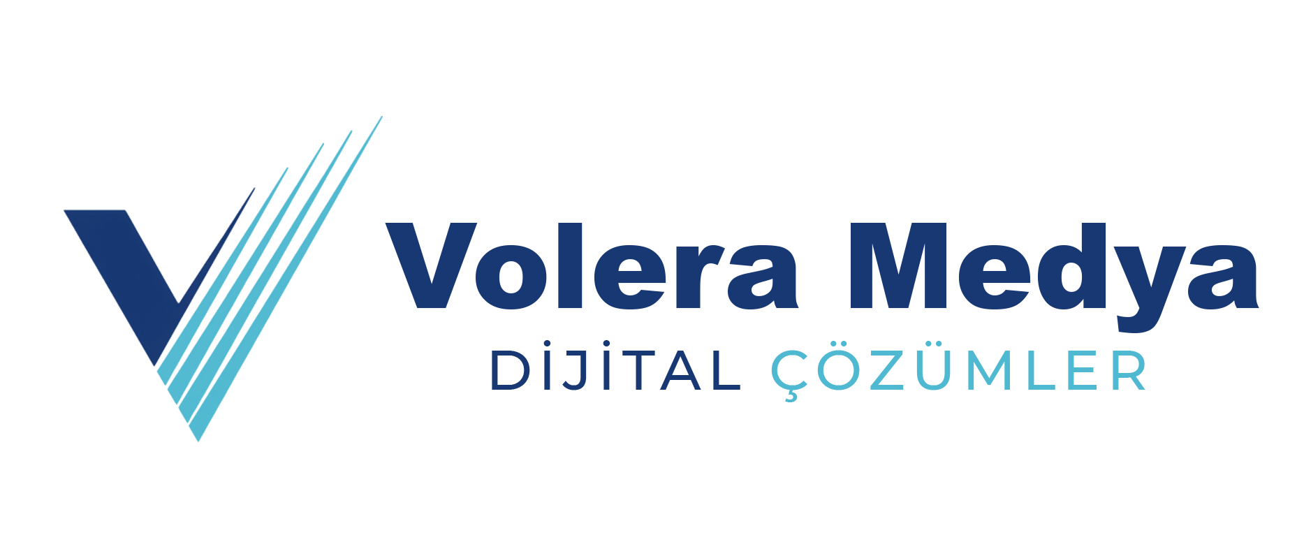 volera-medya-logo-yatay-renkli-buyuk